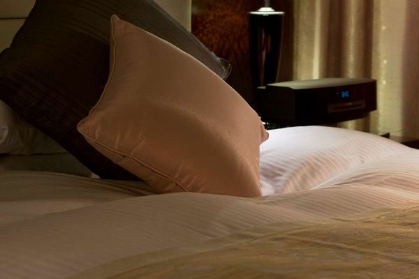 Royal Park Hotel (Tokyo)